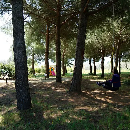 Dolce Vita-2